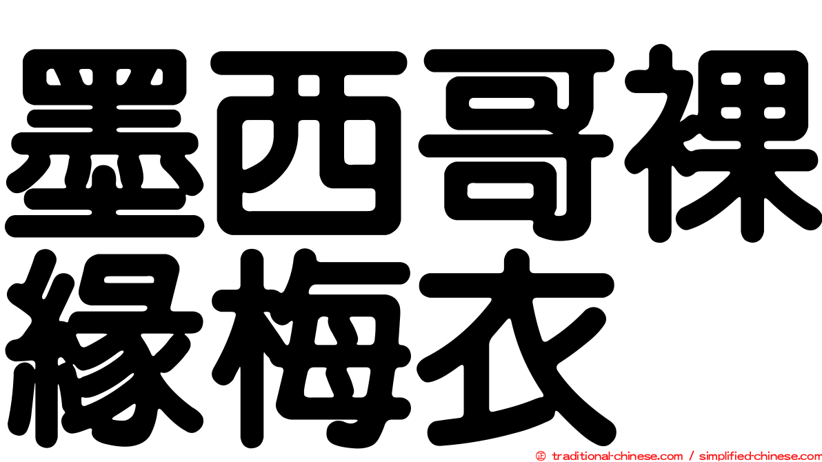 墨西哥裸緣梅衣