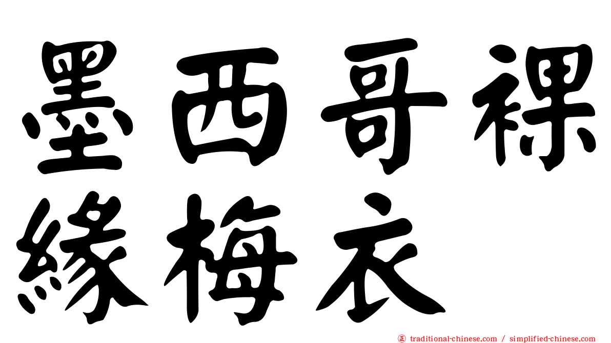 墨西哥裸緣梅衣