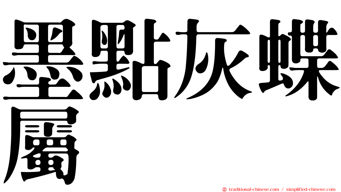 墨點灰蝶屬
