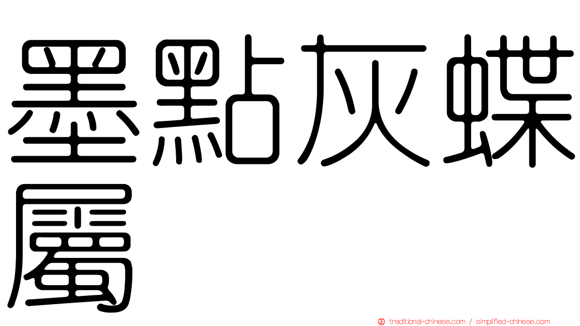 墨點灰蝶屬