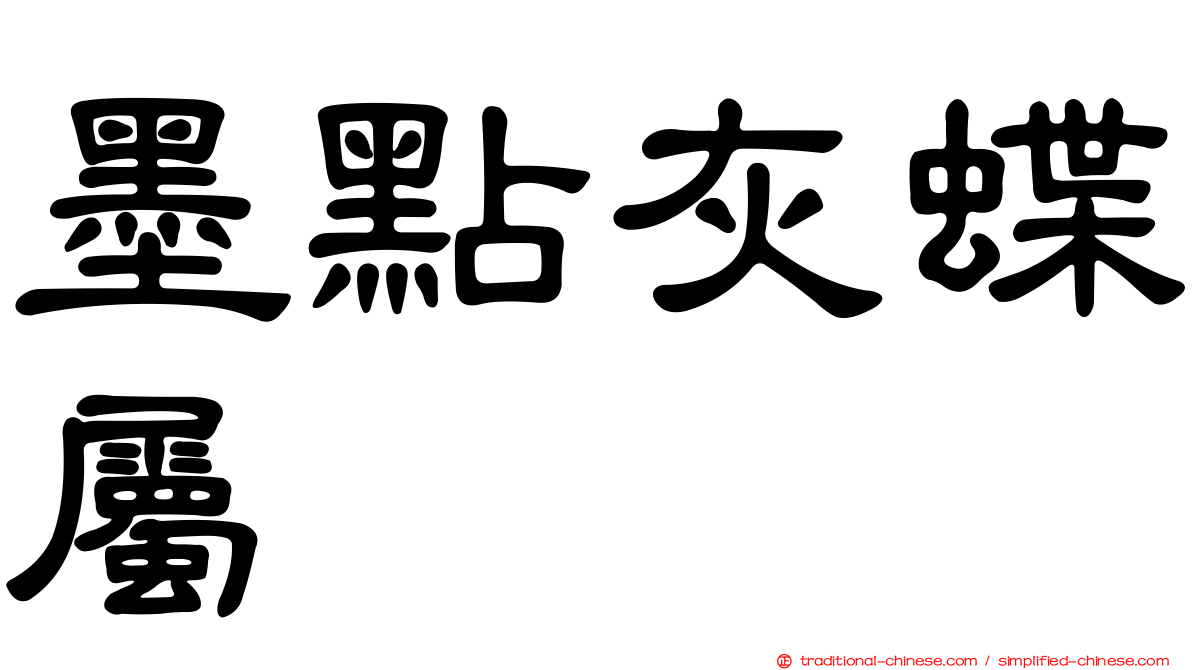 墨點灰蝶屬