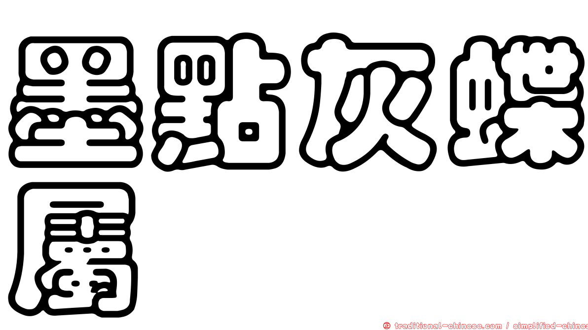 墨點灰蝶屬