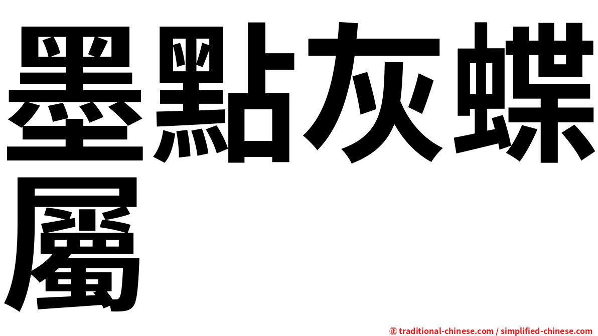墨點灰蝶屬