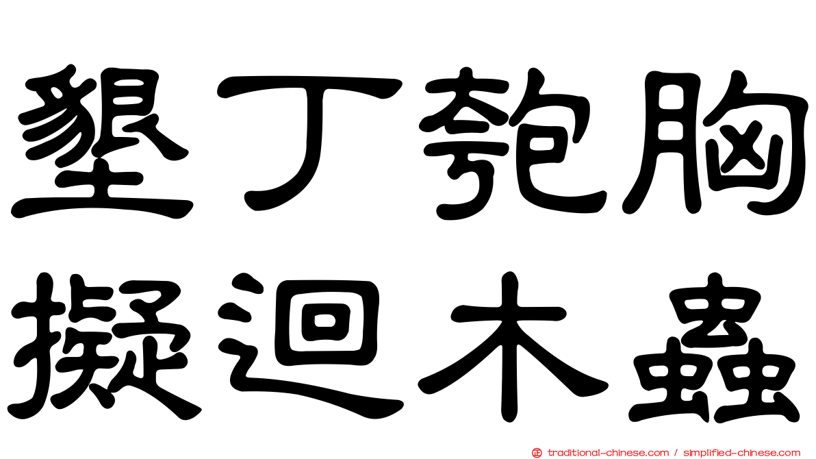 墾丁匏胸擬迴木蟲
