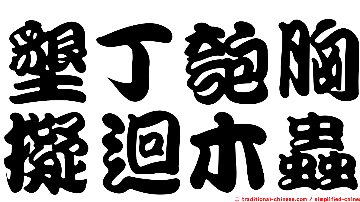 墾丁匏胸擬迴木蟲