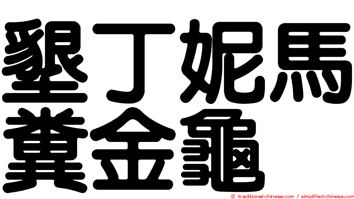 墾丁妮馬糞金龜