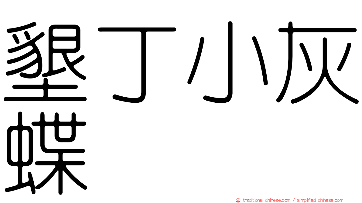 墾丁小灰蝶