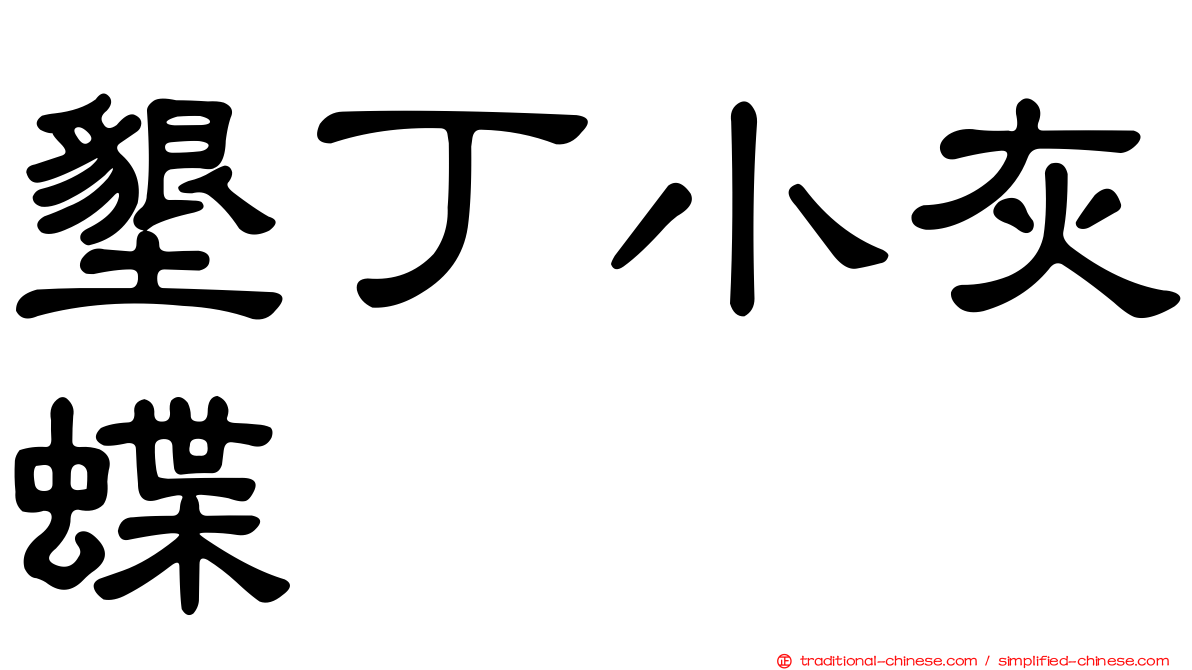 墾丁小灰蝶