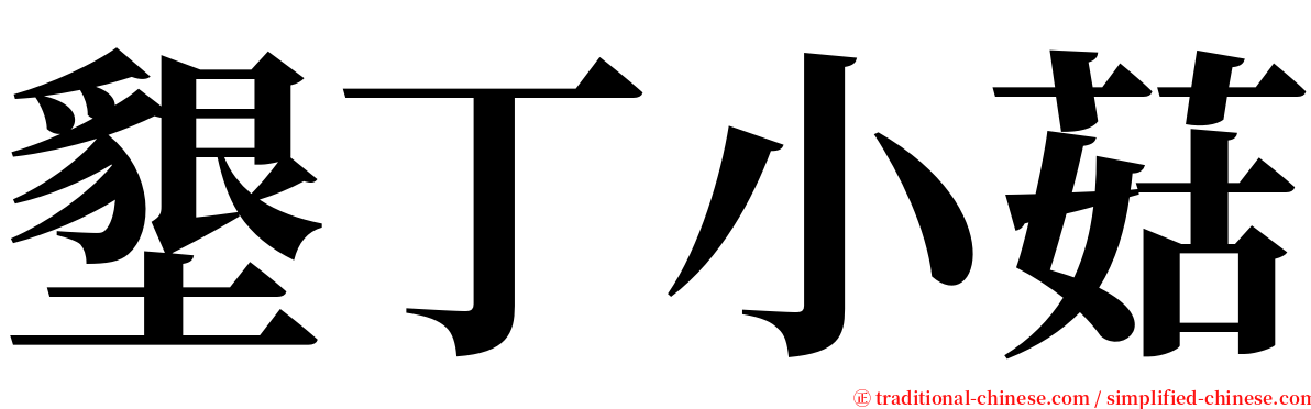 墾丁小菇 serif font