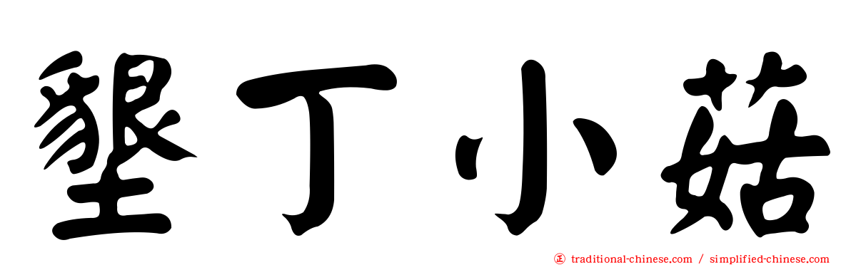 墾丁小菇