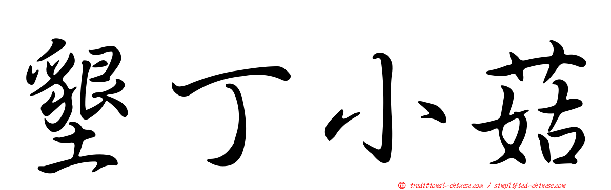 墾丁小菇