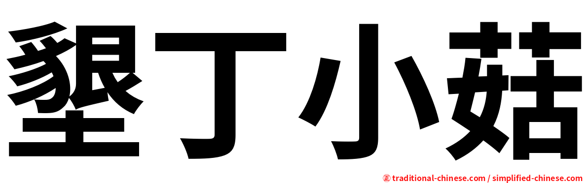 墾丁小菇