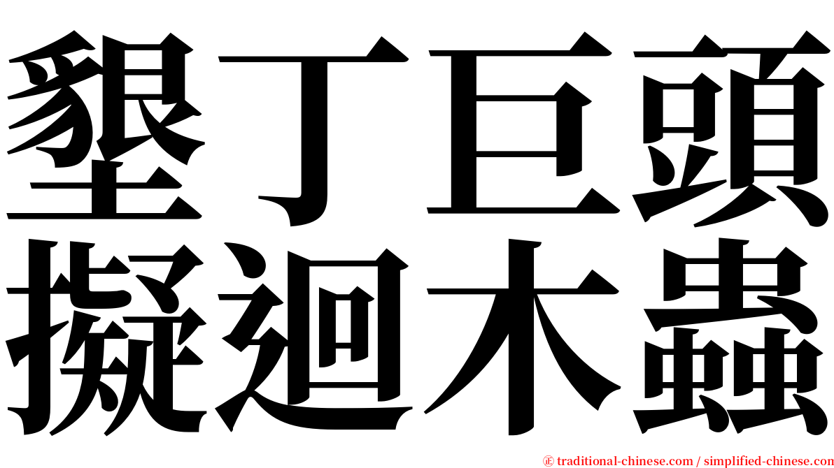 墾丁巨頭擬迴木蟲 serif font