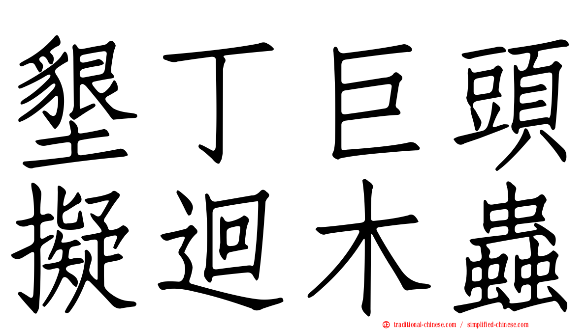 墾丁巨頭擬迴木蟲