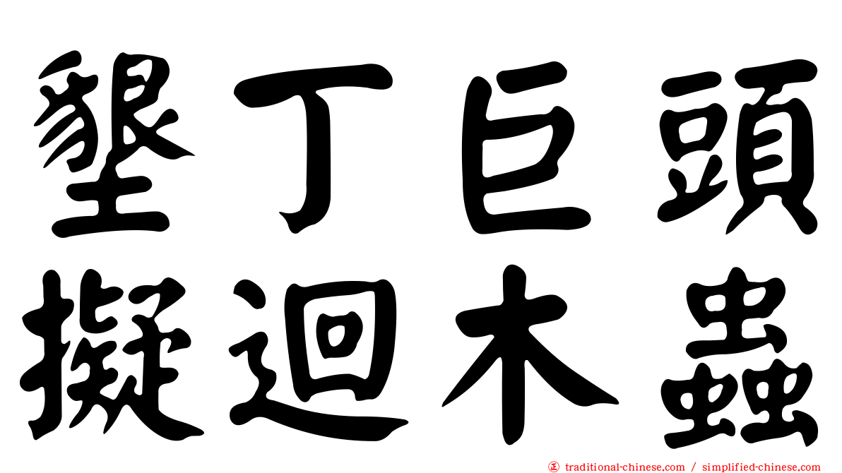 墾丁巨頭擬迴木蟲