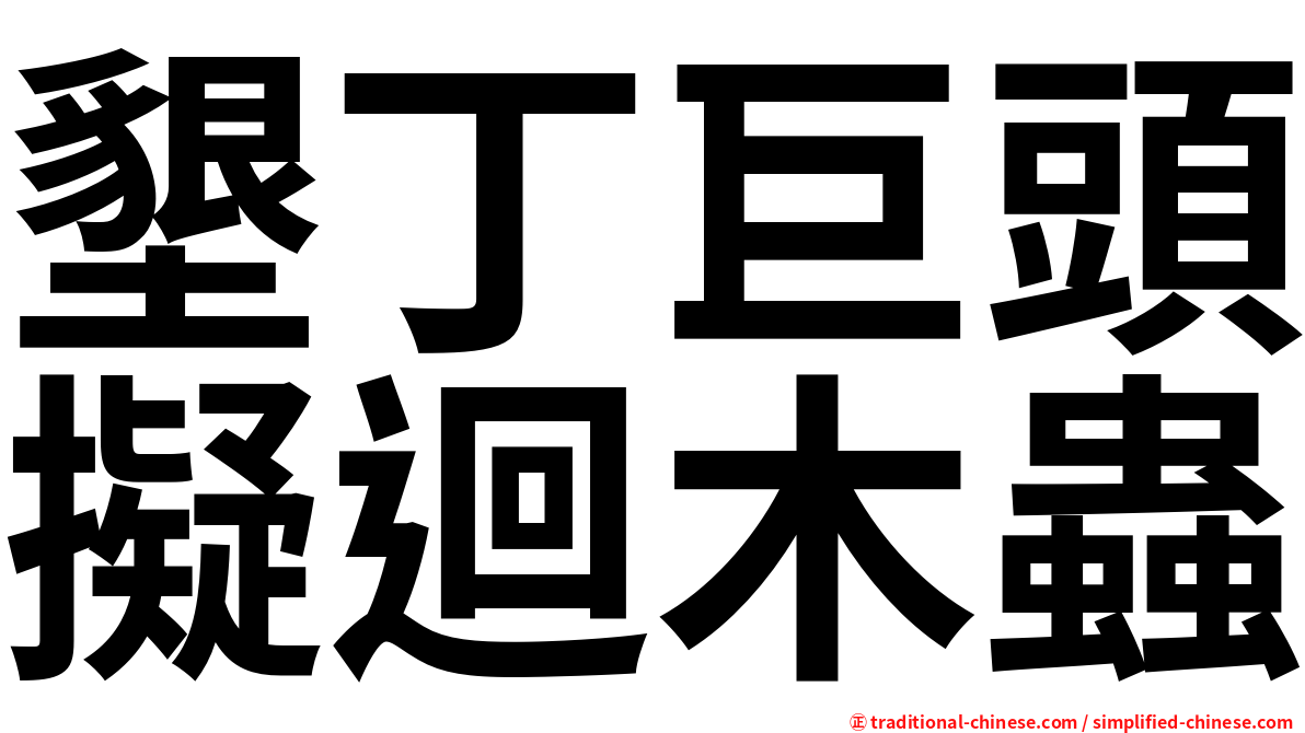 墾丁巨頭擬迴木蟲