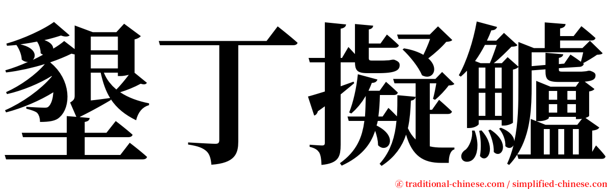 墾丁擬鱸 serif font