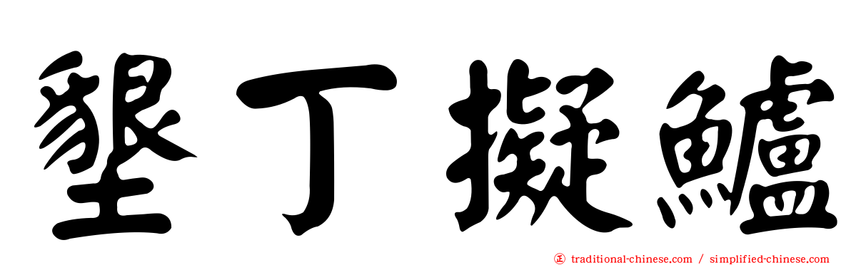 墾丁擬鱸