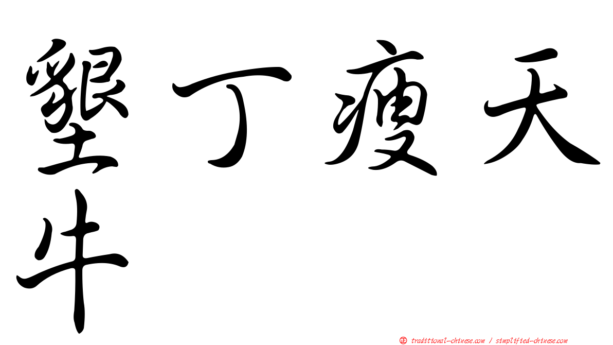 墾丁瘦天牛