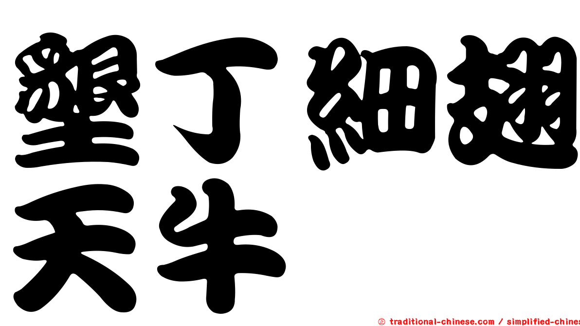 墾丁細翅天牛