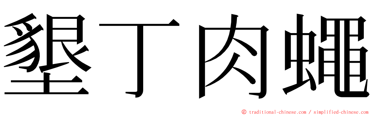 墾丁肉蠅 ming font