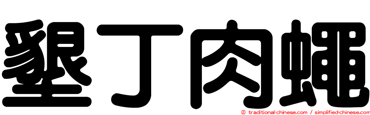 墾丁肉蠅