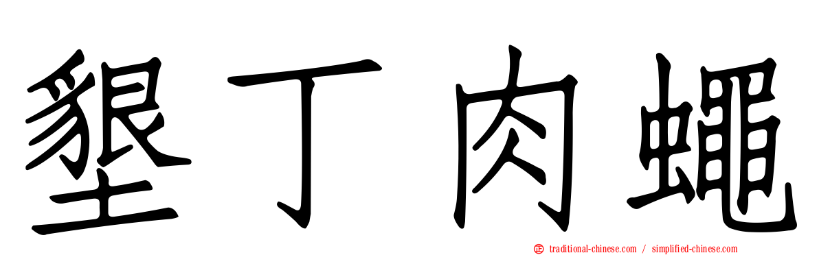 墾丁肉蠅