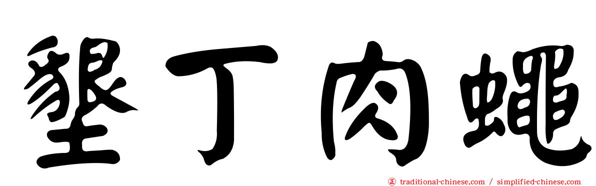 墾丁肉蠅