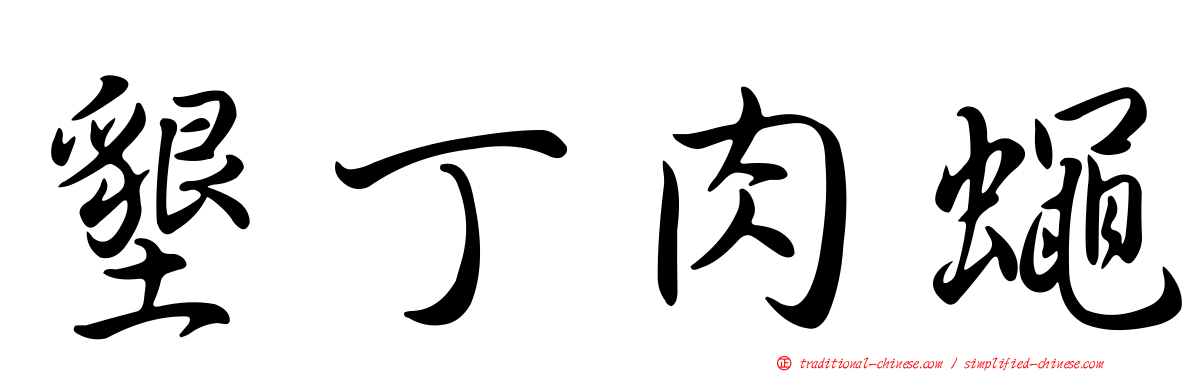 墾丁肉蠅