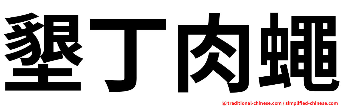 墾丁肉蠅