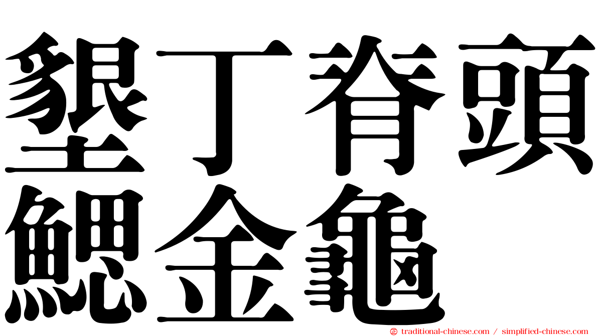 墾丁脊頭鰓金龜