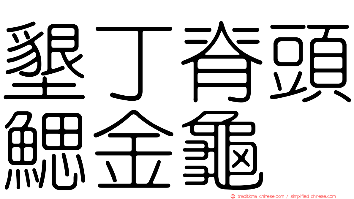墾丁脊頭鰓金龜