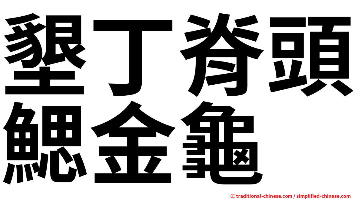 墾丁脊頭鰓金龜