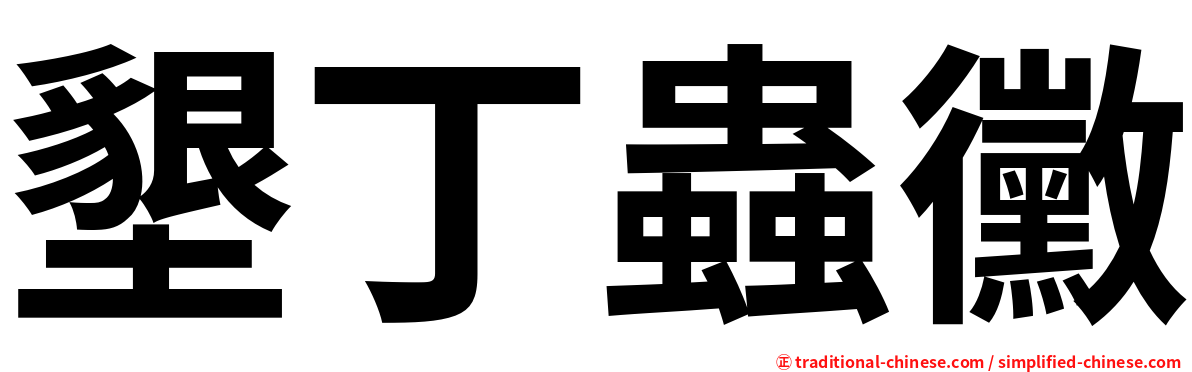 墾丁蟲黴