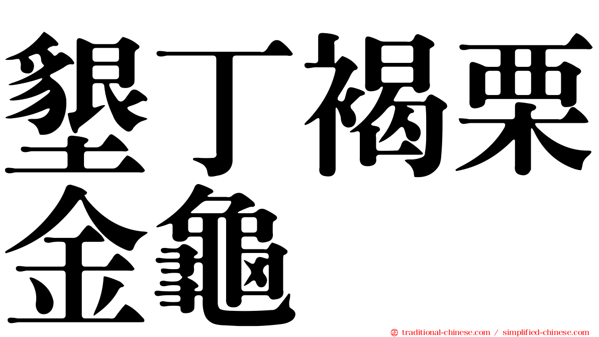 墾丁褐栗金龜