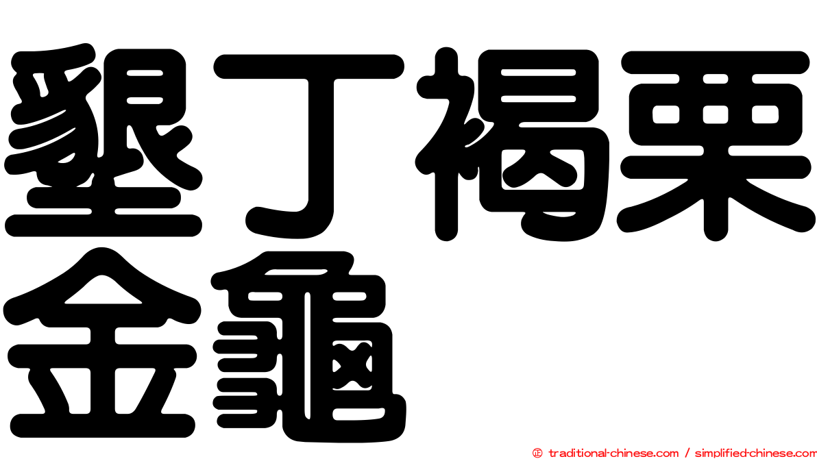 墾丁褐栗金龜