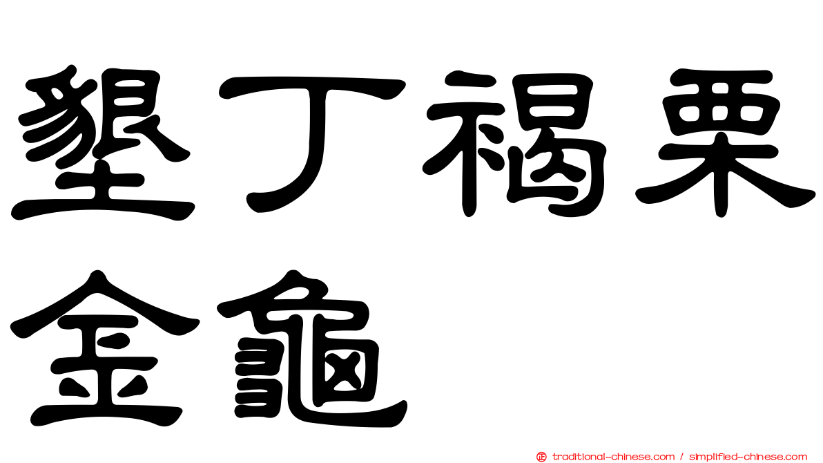 墾丁褐栗金龜