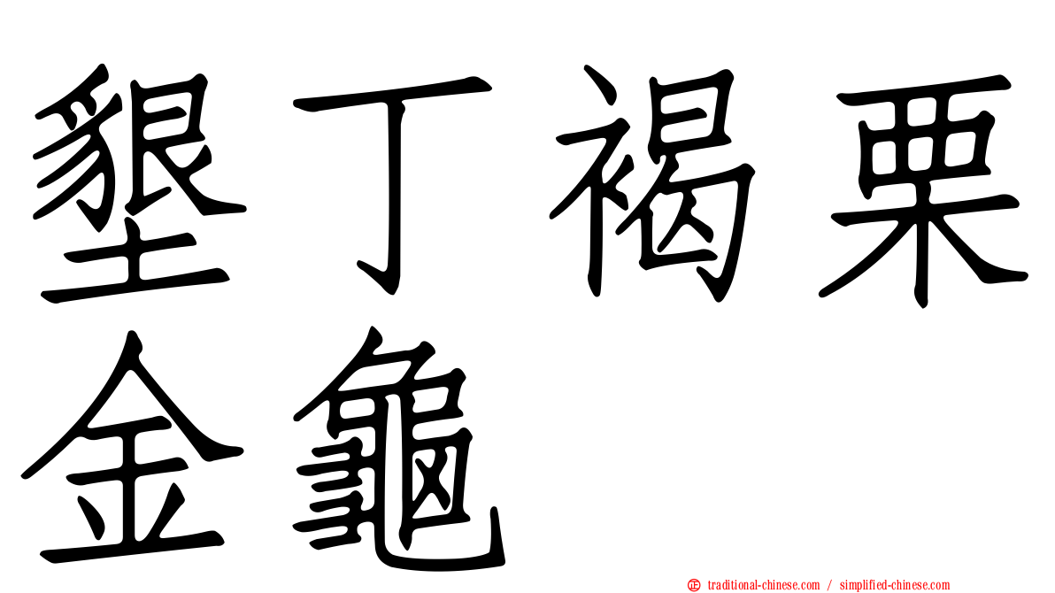 墾丁褐栗金龜