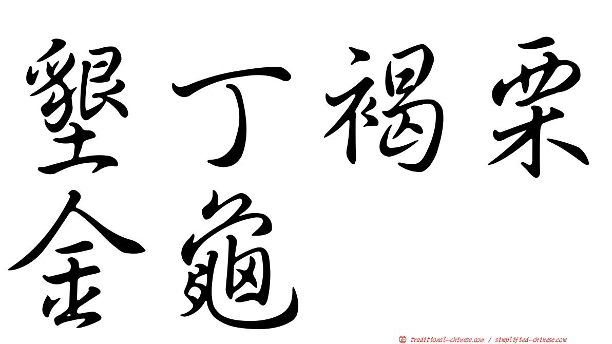墾丁褐栗金龜