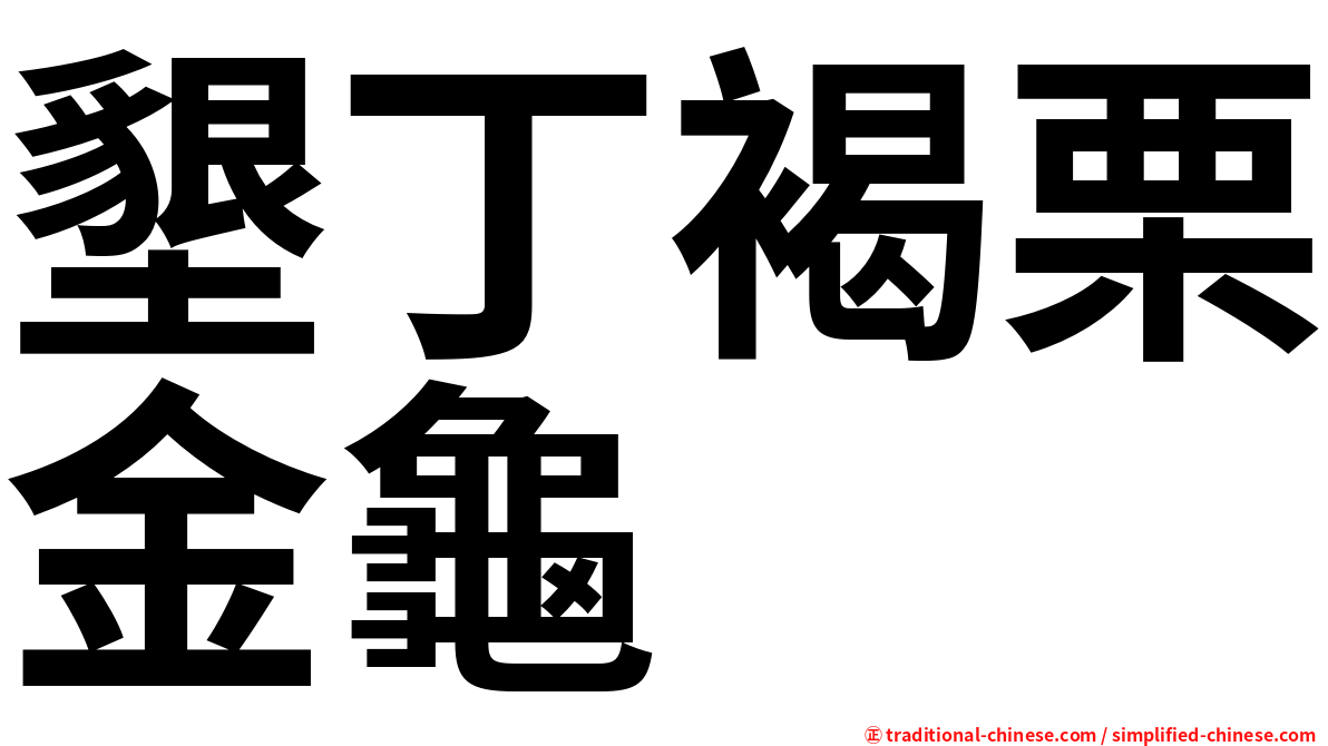 墾丁褐栗金龜