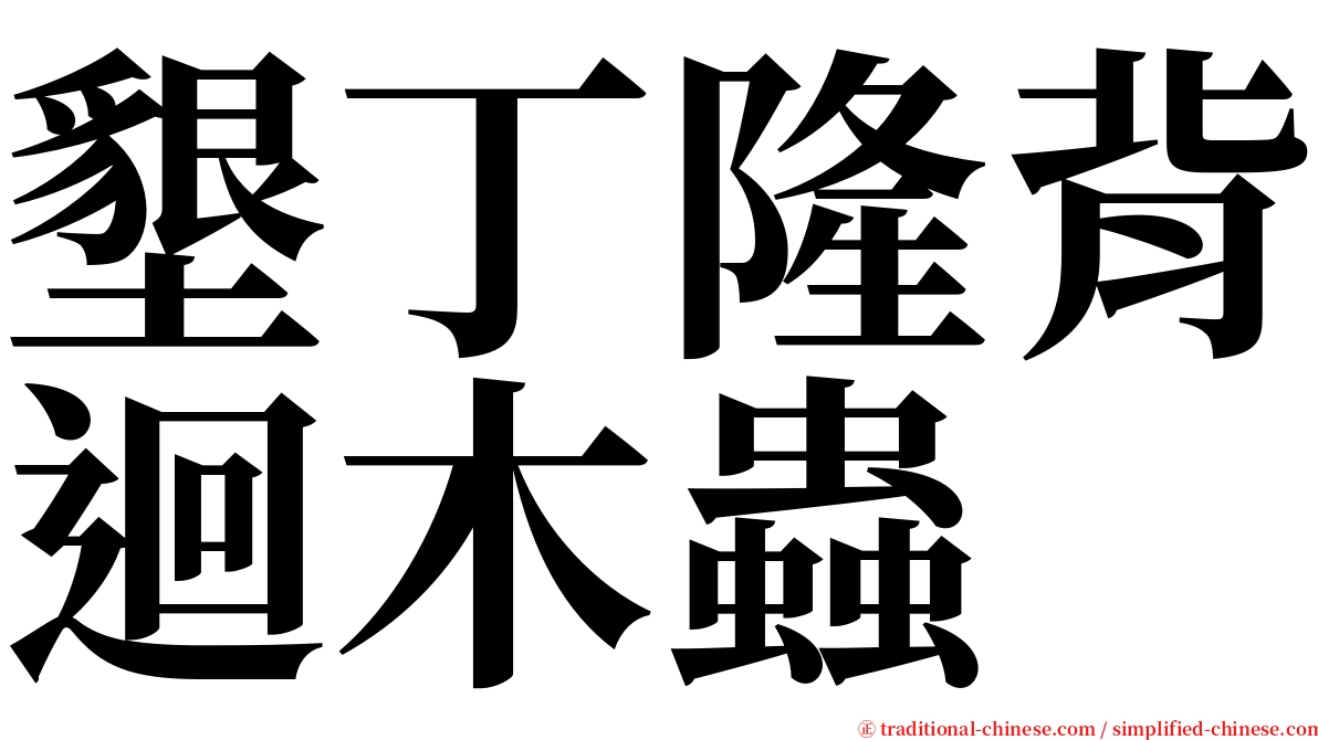 墾丁隆背迴木蟲 serif font