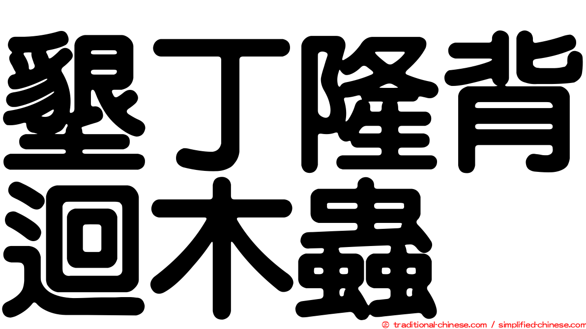 墾丁隆背迴木蟲