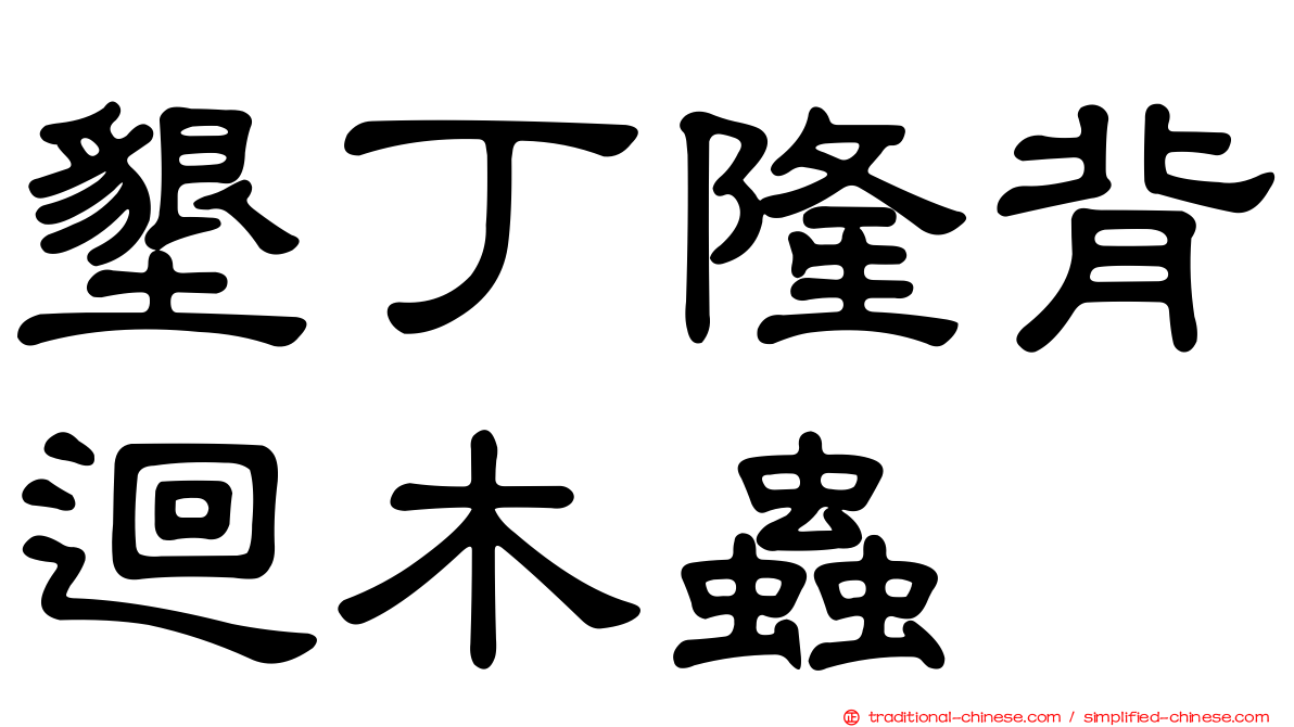 墾丁隆背迴木蟲