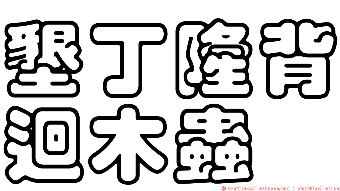 墾丁隆背迴木蟲