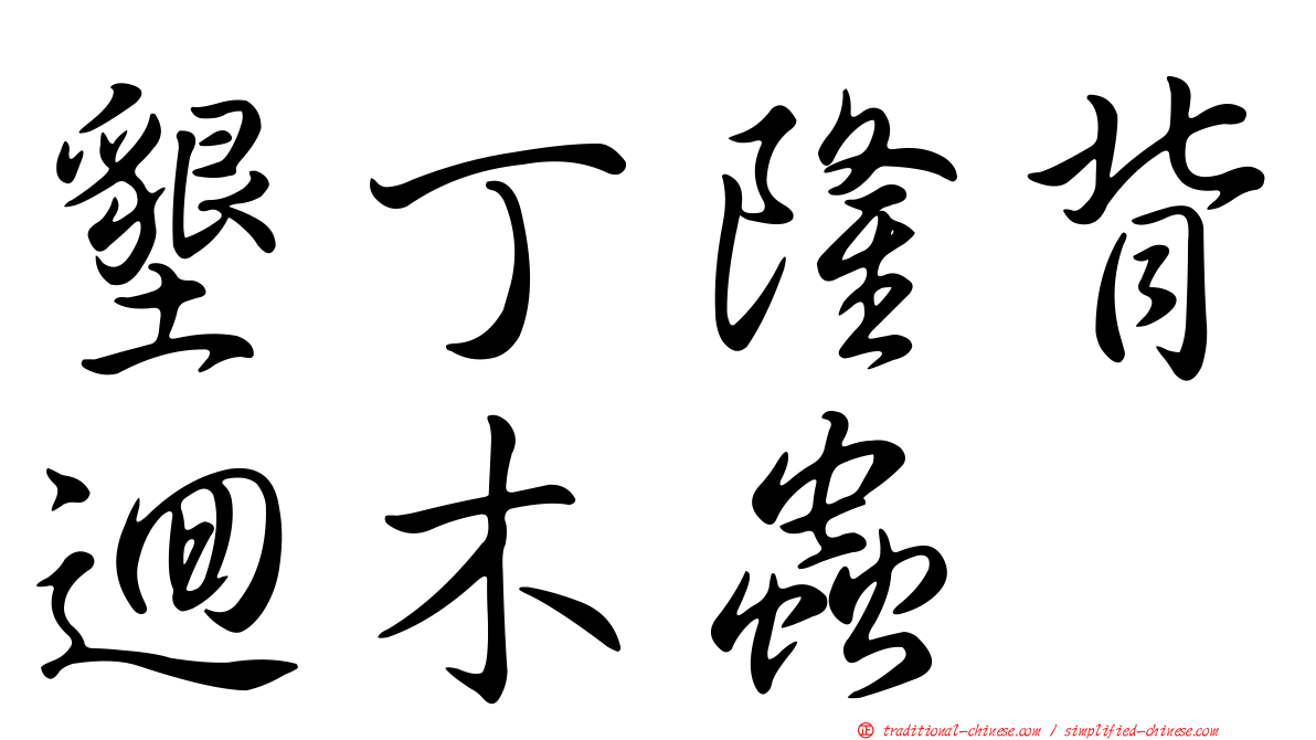 墾丁隆背迴木蟲