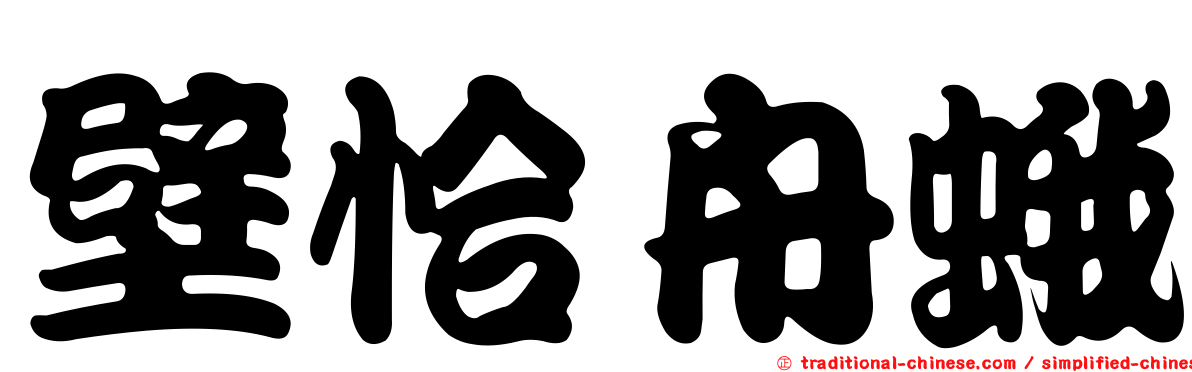 壁恰舟蛾