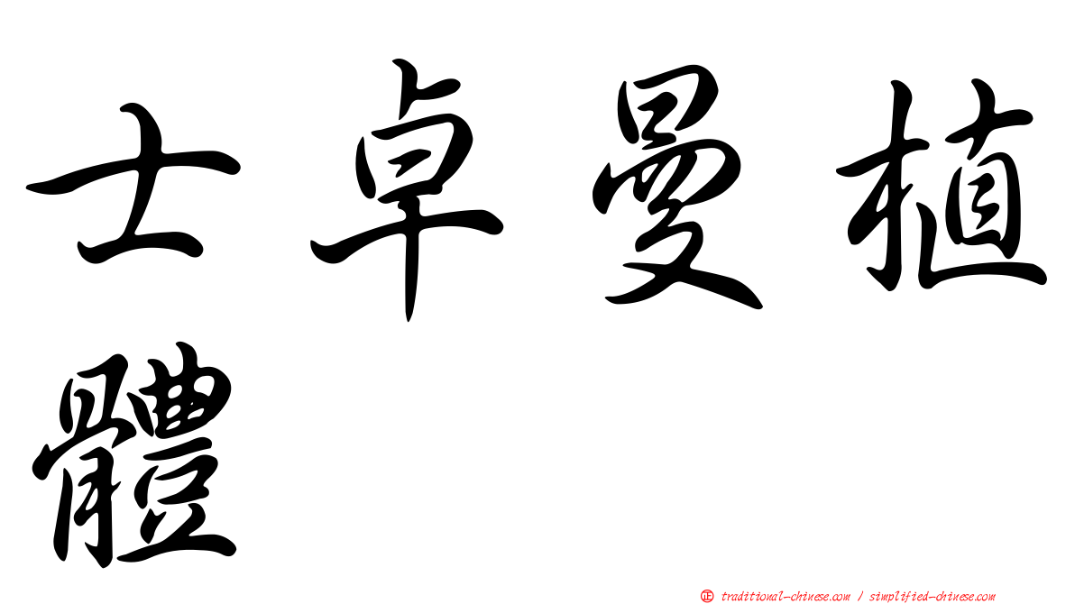 士卓曼植體