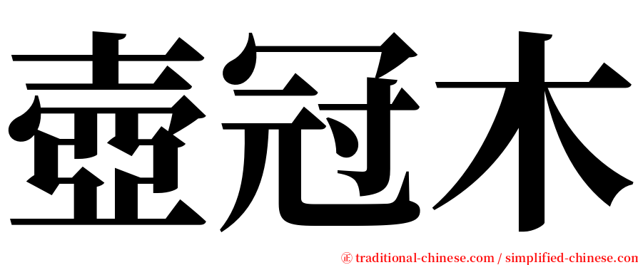 壺冠木 serif font