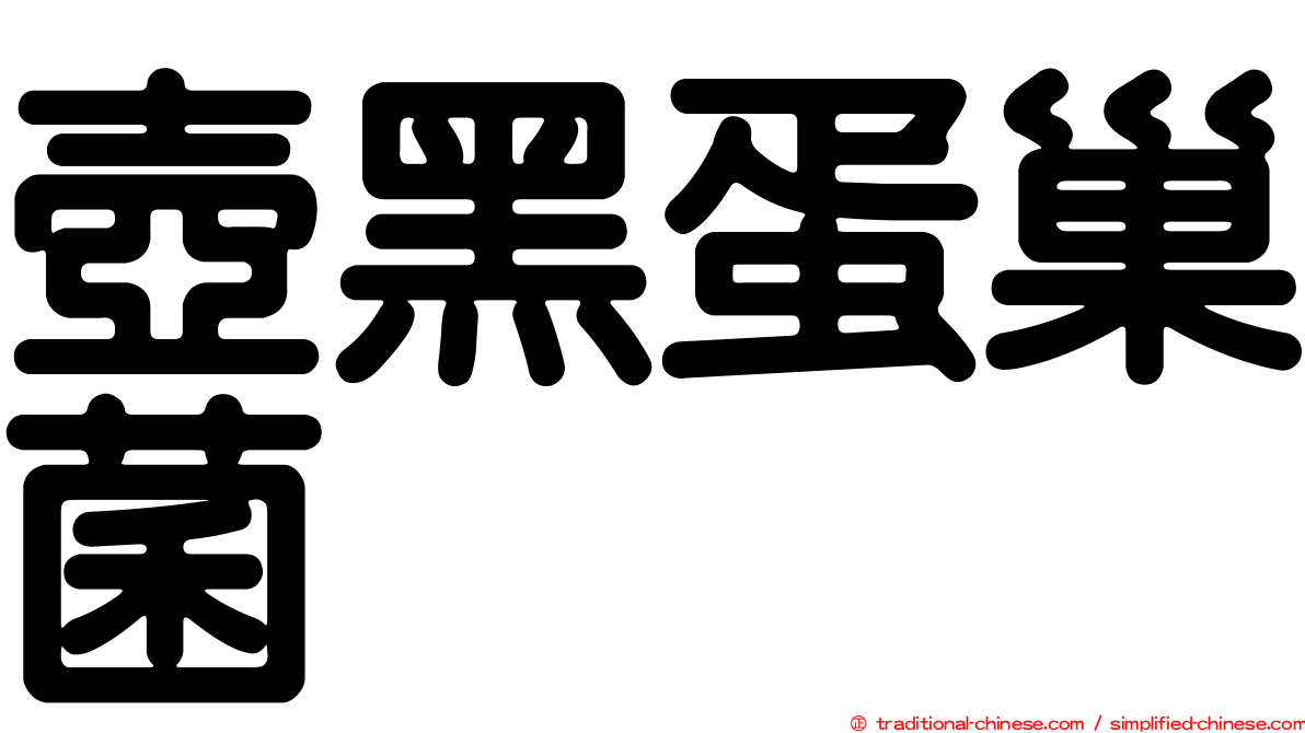 壺黑蛋巢菌
