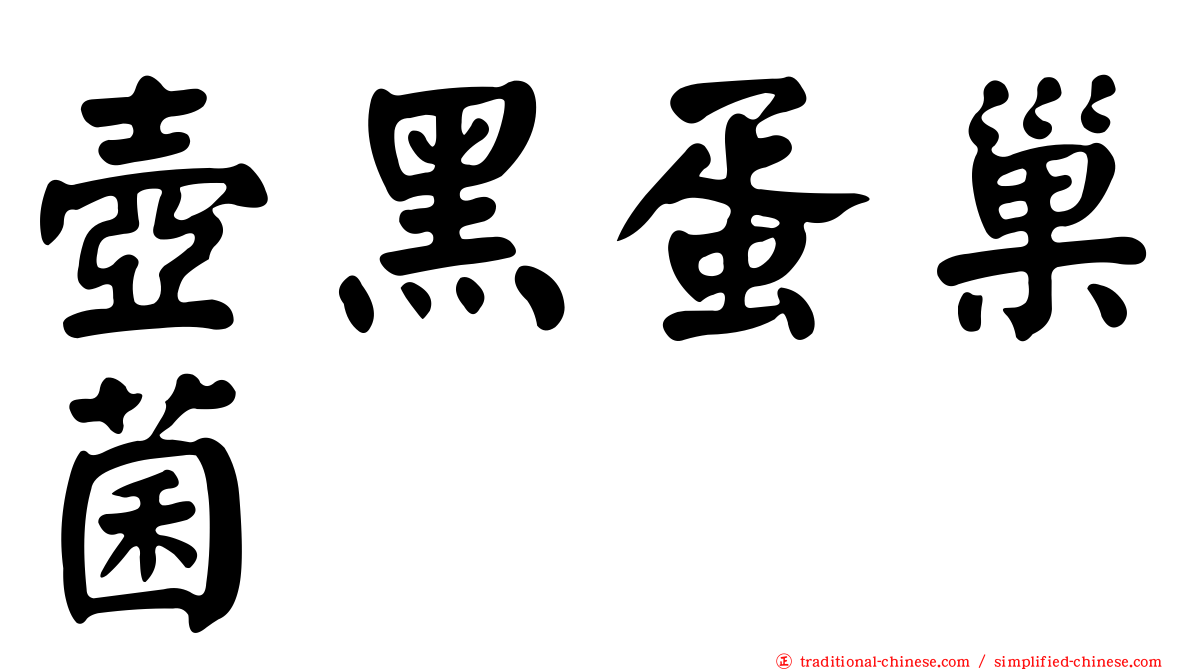 壺黑蛋巢菌